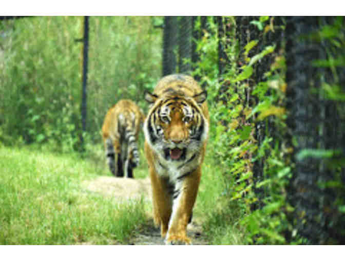 Virginia Zoo - Two (2) one-time use admission passes - Value $81