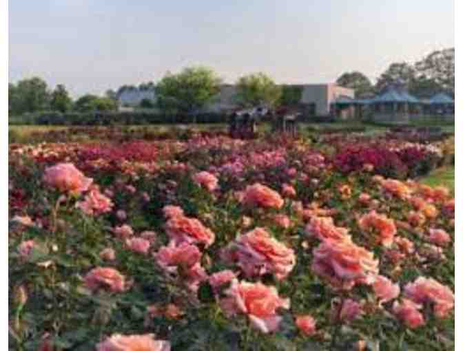 Norfolk Botanical Garden - Family Fun Pass