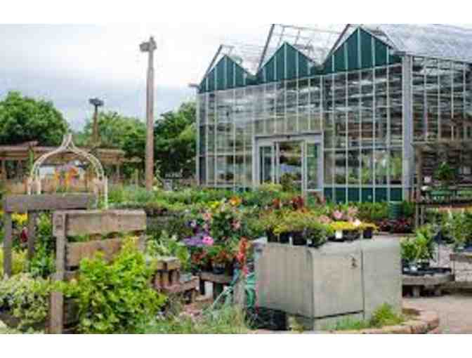 McDonald's Garden Center Basket