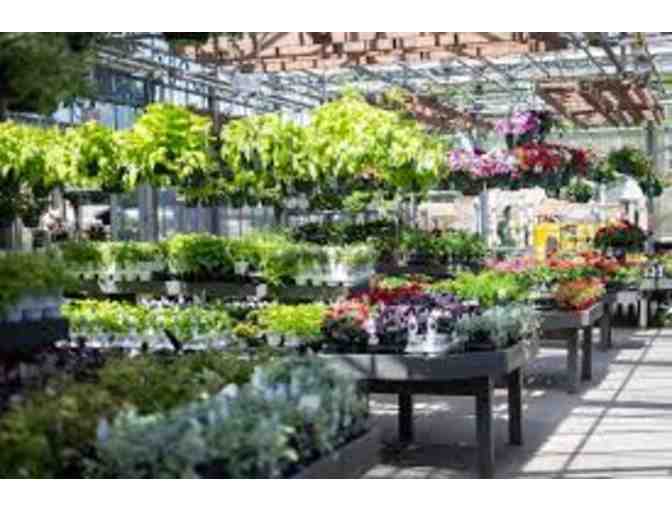 McDonald's Garden Center Basket