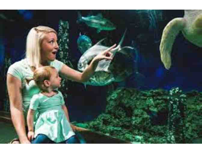 Virginia Living Museum - Two (2) Admission Tickets