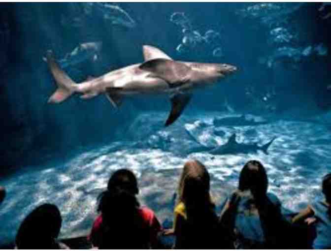 Virginia Aquarium & Marine Science Center - Four (4) Complimentary Admission Tickets-$100