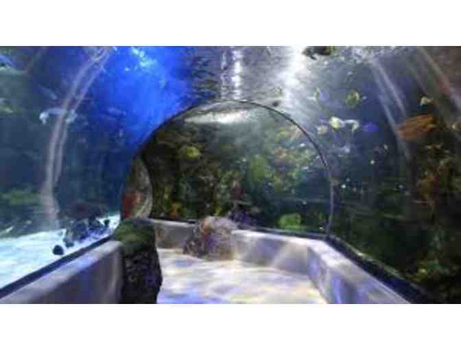 Virginia Aquarium & Marine Science Center - Four (4) Complimentary Admission Tickets-$100