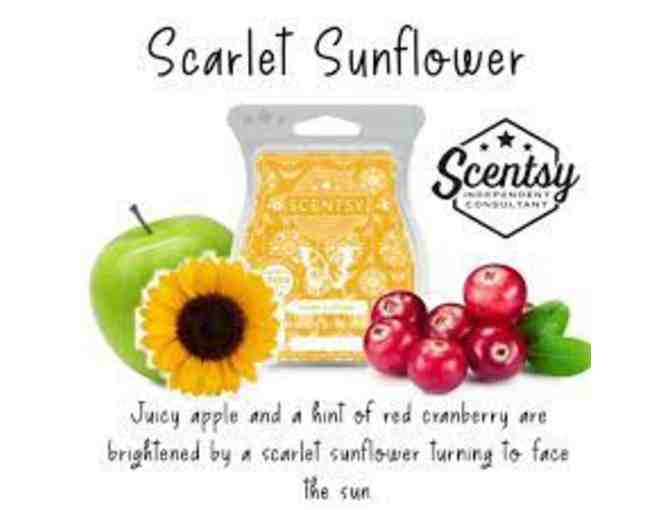 Scentsy Birds of a Feather Warmer and Three (3) Scents - Donated by: The Bowen Family