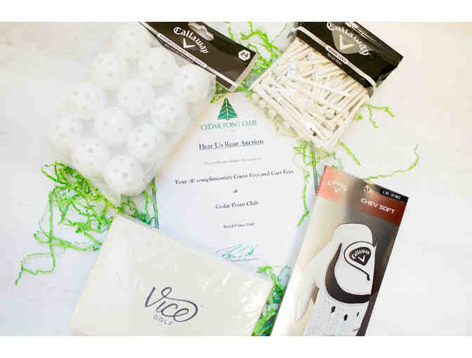 Pre-Kindergarten Bears/Fish/Ducks Golf Basket - Donated by: The Pre-Kindergarten Class