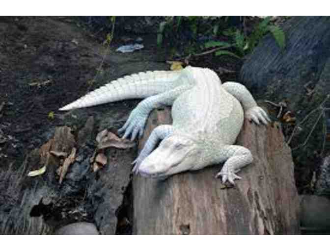 North Carolina Aquariums Basket - Two (2) Complimentary Tickets