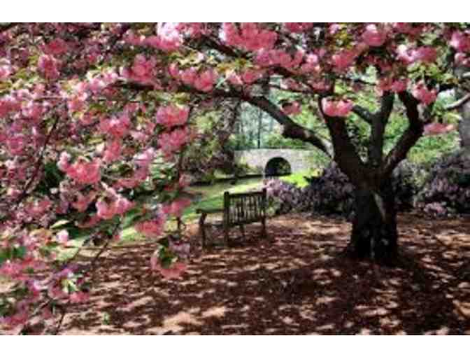 Norfolk Botanical Garden 'Family Fun Pass' gift basket