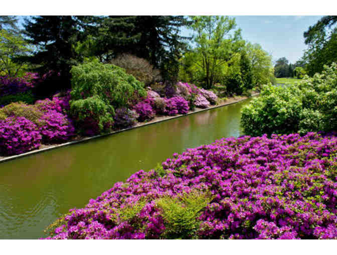 Norfolk Botanical Garden 'Family Fun Pass' gift basket