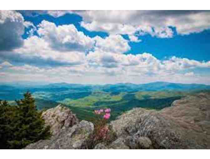 Grandfather Mountain Stewardship Foundation -Four (4) passes to Grandfather Mountain