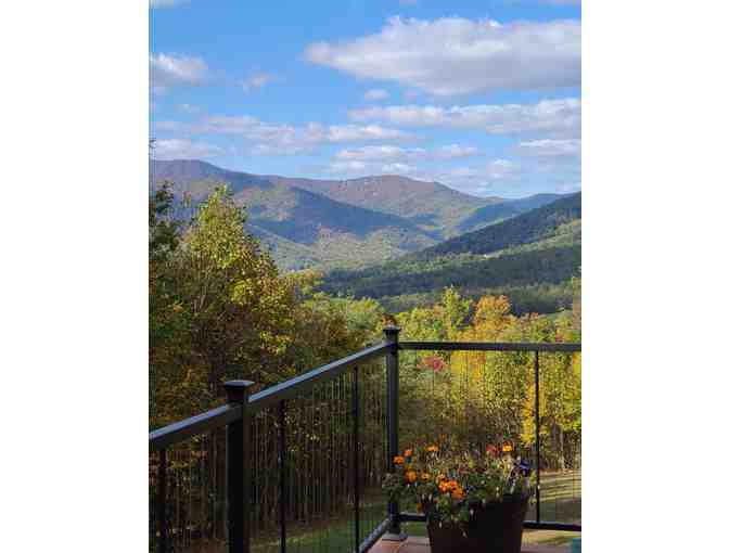 Wintergreen Get-Away - House in the Mountains - Priceless - Donated by The Terry Family