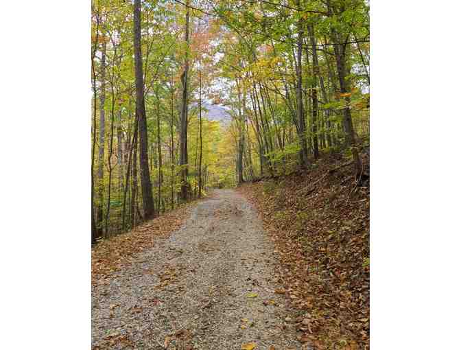 Wintergreen Get-Away - House in the Mountains - Priceless - Donated by The Terry Family