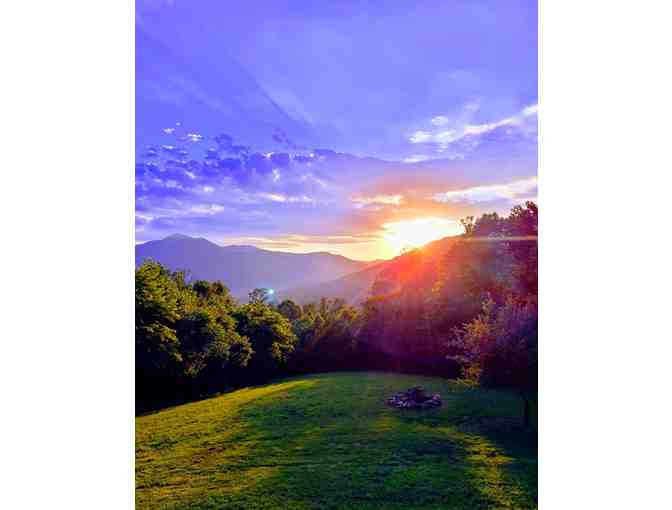 Wintergreen Get-Away - House in the Mountains - Priceless - Donated by The Terry Family