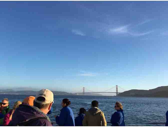 Adventure Cat Bay Sail