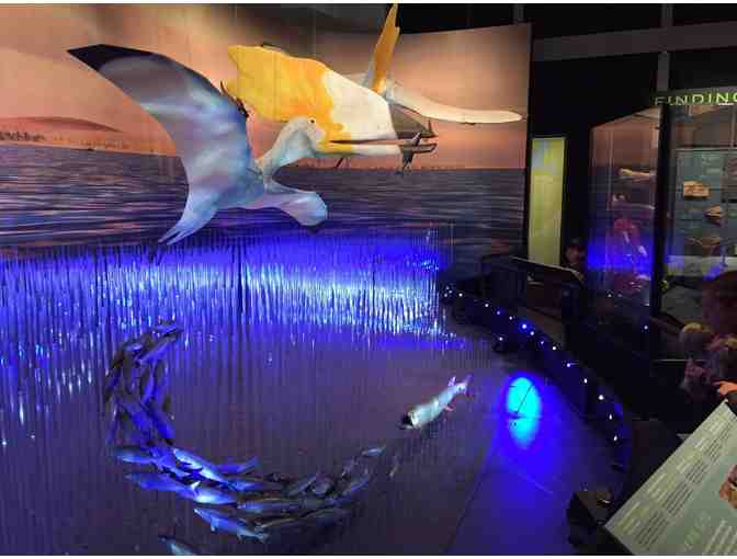 California Academy of Sciences