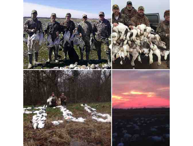 Snow Goose Hunt for 8 People, Only 1 Hour from Memphis!