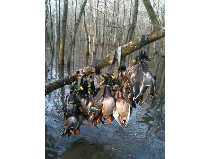 Coca Cola Woods in Arkansas Duck Hunt for 8