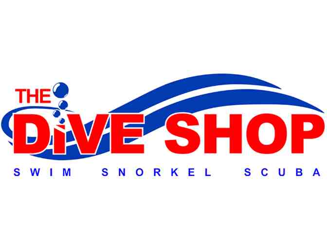 Discover Scuba Experience