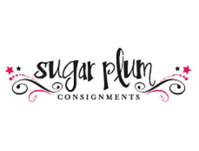 Coco Rocha Botkier Purse from Sugarplum Consignments