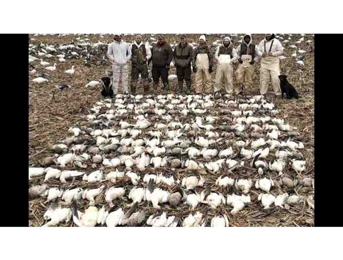 Snow Goose Hunt for 10 People, Only 1 Hour from Memphis!