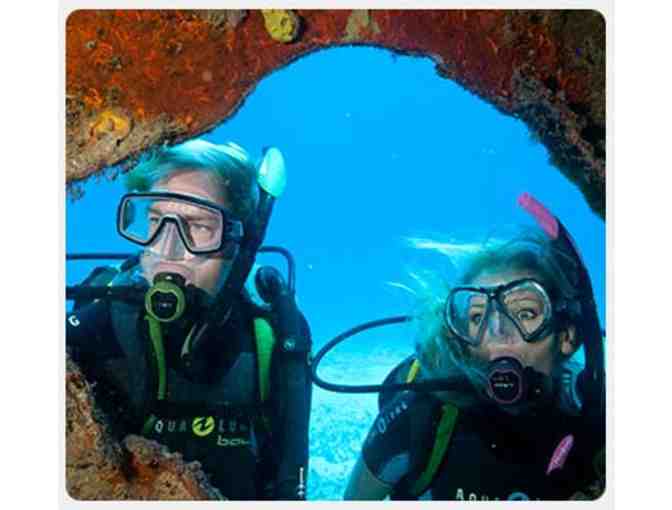 Discover Scuba Experience