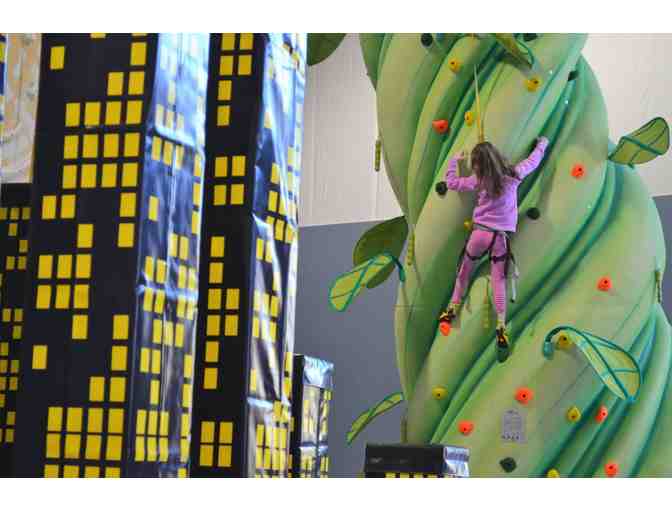 Experience a day of Rock Climbing