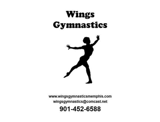 1 Month of Gymnastics Lessons, Age 3-14