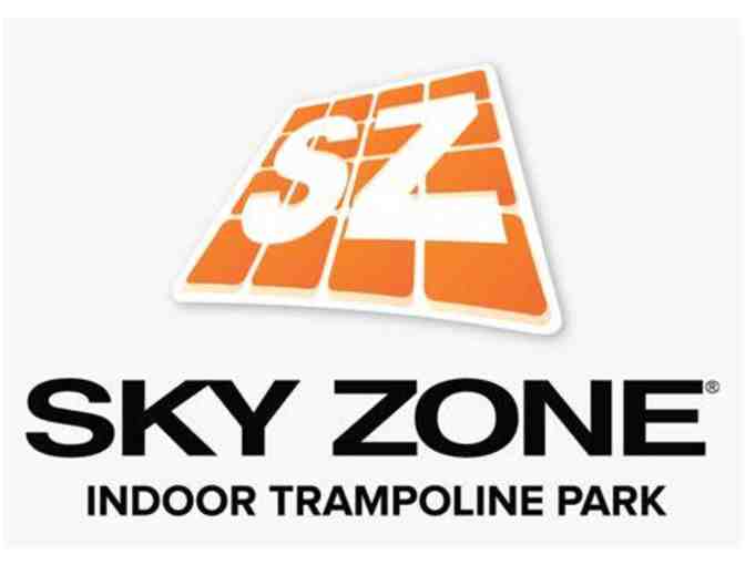 Adventure Mini Golf and Sky Zone Package