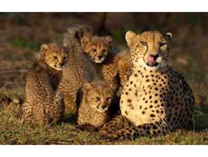 EXPERIENCE AFRICA! - Six Day SAFARI for Two.