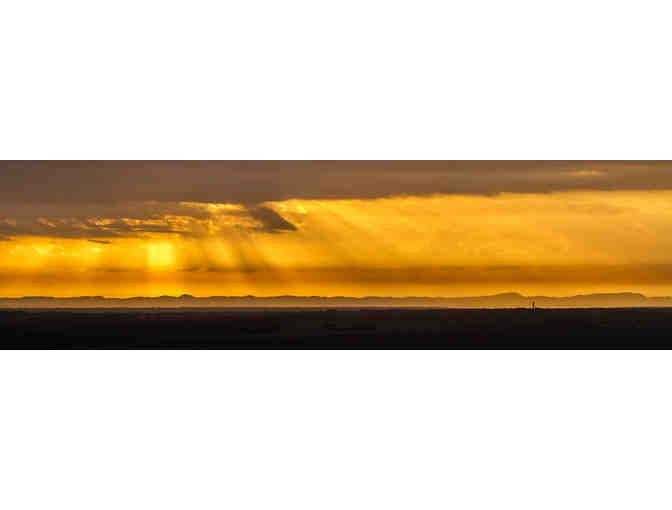 EXPERIENCE AFRICA! - Six Day SAFARI for Two.