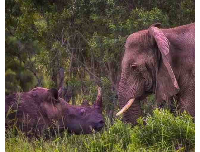 EXPERIENCE AFRICA! - Six Day SAFARI for Two.