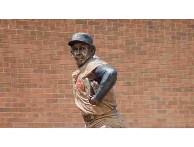 Roots & Revelations: A Journey Through Time