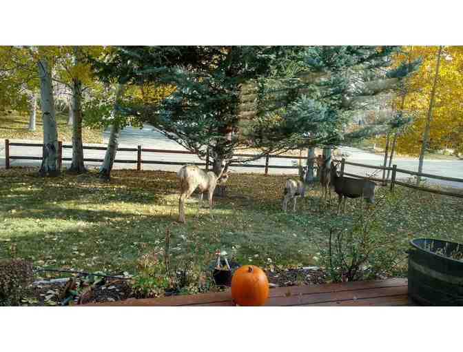 2 night stay in the Black Bear Suite- Sleeps 6, in Blue Lake, Colorado