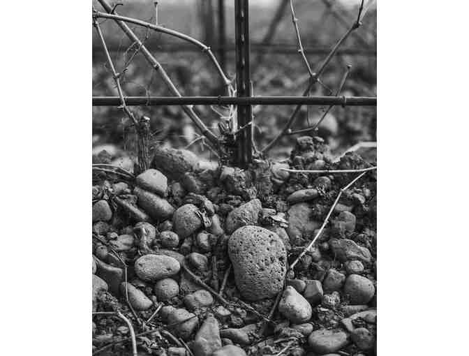 2020 'Psychedelic Syrah' 750mL from Sleight of Hand Cellars