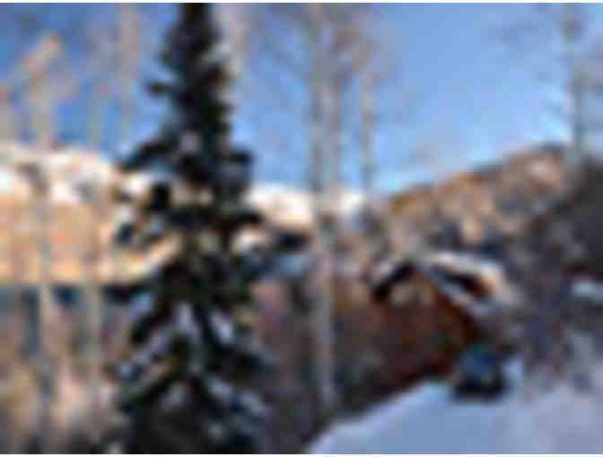 Yule Creek Lodge one night stay-Marble