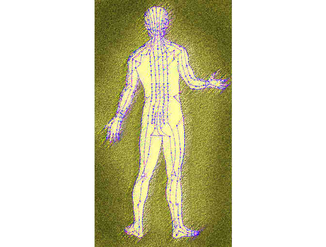 Acupuncture- New Patient Consultation and Treatment by Carbondale Acupuncture Center