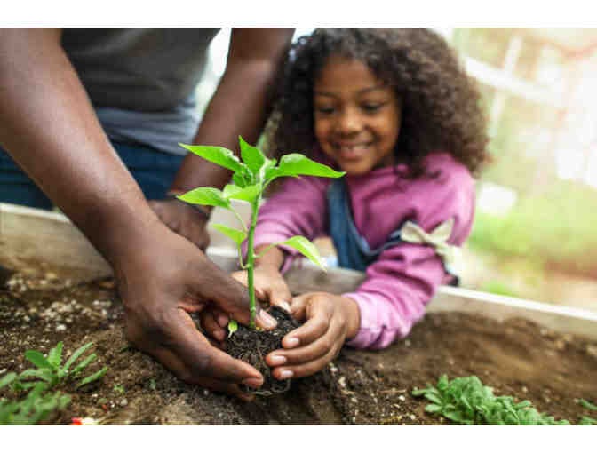 $100 towards tuition for Magic Mountain Nature Camp in Carbondale