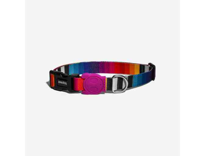 Doggy Heaven- Four self serve dog washes, hiking belt pack, and new collar