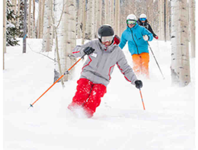 Aspen Snowmass - 1 full Day Private Lesson