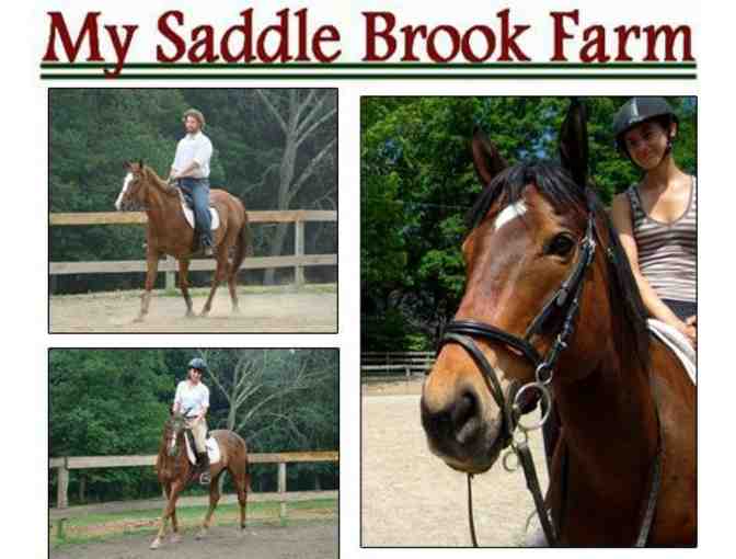 Horse Back Riding Lesson (b)