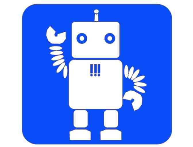 One Full Day of Robotics and Coding at Robofun