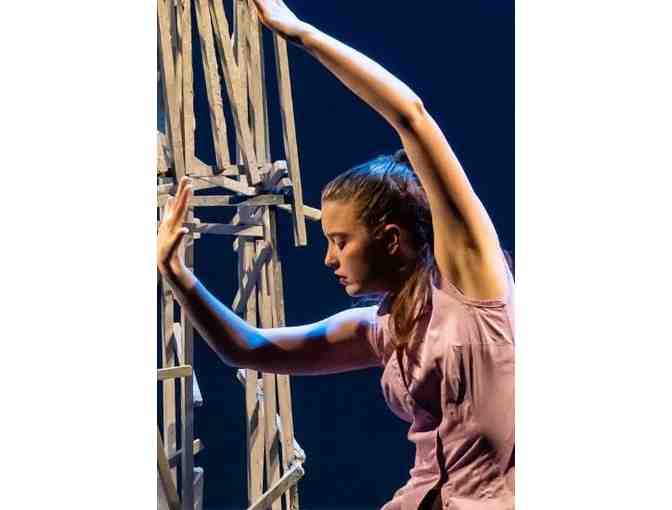 Jane Franklin Dance Concert Four Tickets to Any Performance