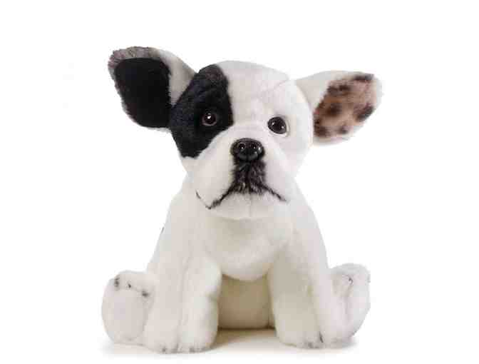 Olde Towne Pet Resort 3-Night Dog or Cat Stay and Deluxe Spa Bath