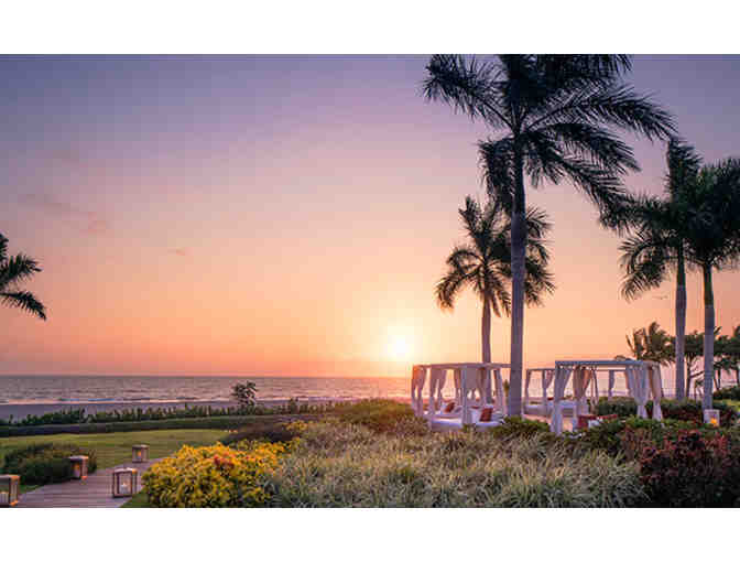 Vida Ambassador Certificate - Mexican Vacay!