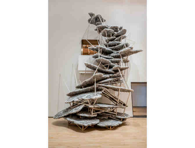 Massachusetts Museum of Contemporary Art