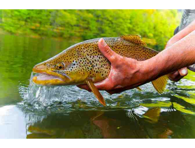 Fly/Spin Fishing on the Upper Delaware River