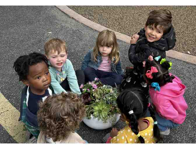 Succulent centerpiece from the Red Room