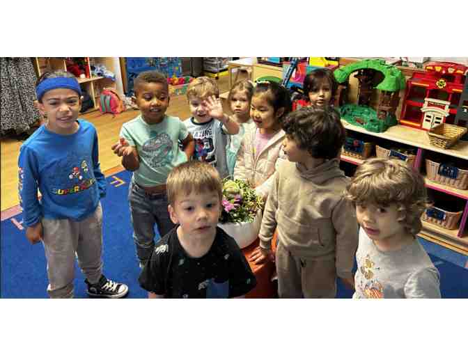 Blue Room Succulents