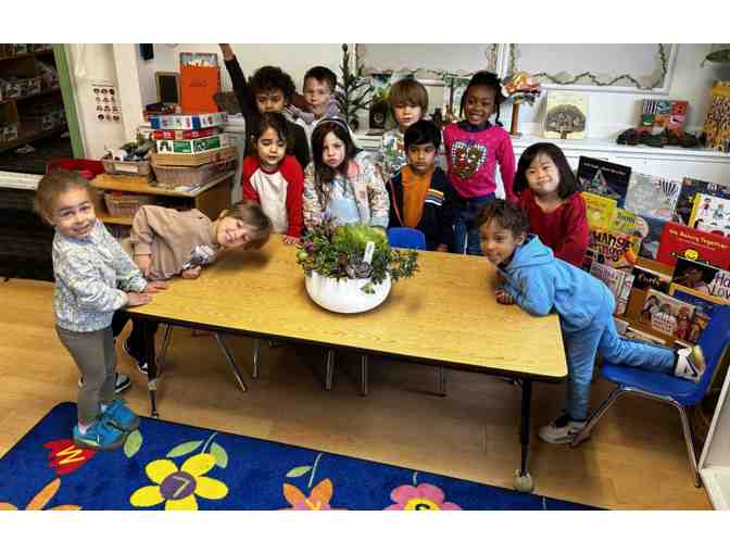 Green Room Succulent Centerpiece