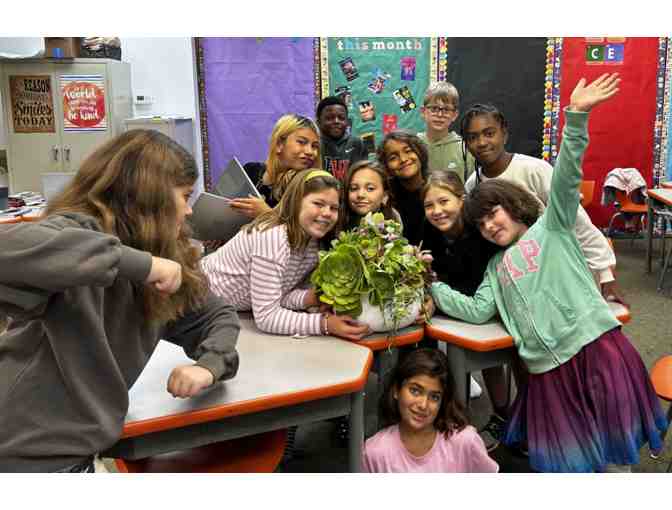 4th Grade Succulent Centerpiece