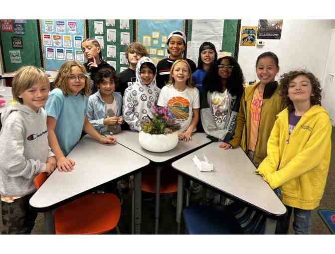 5th Grade Succulent Centerpiece